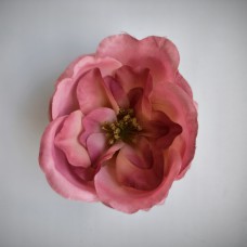 Н1302 Шиповник многосл.хлопок флорист.(120)