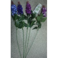 ОК5 Сирень одиноч. (200)