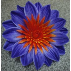 Н80 (111.101) Георгин атлас. 2-х сл.(20)