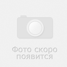 7Л151.168 Лист папорот.7г.атлас.(12)